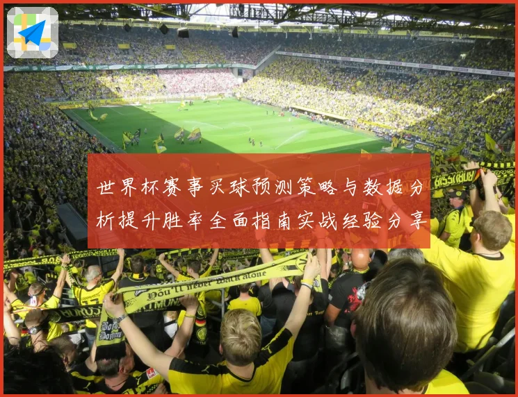 世界杯赛事买球预测策略与数据分析提升胜率全面指南实战经验分享